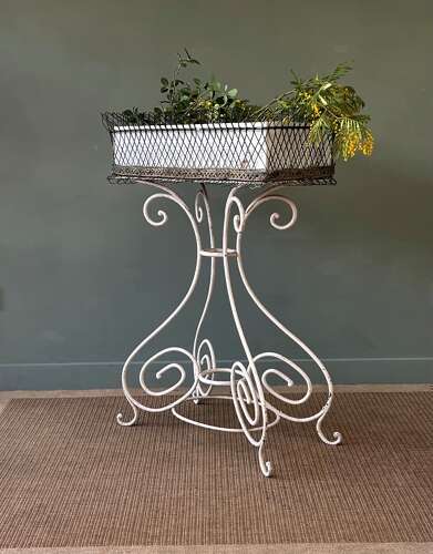 Antique French Wrought Iron Plant Stand