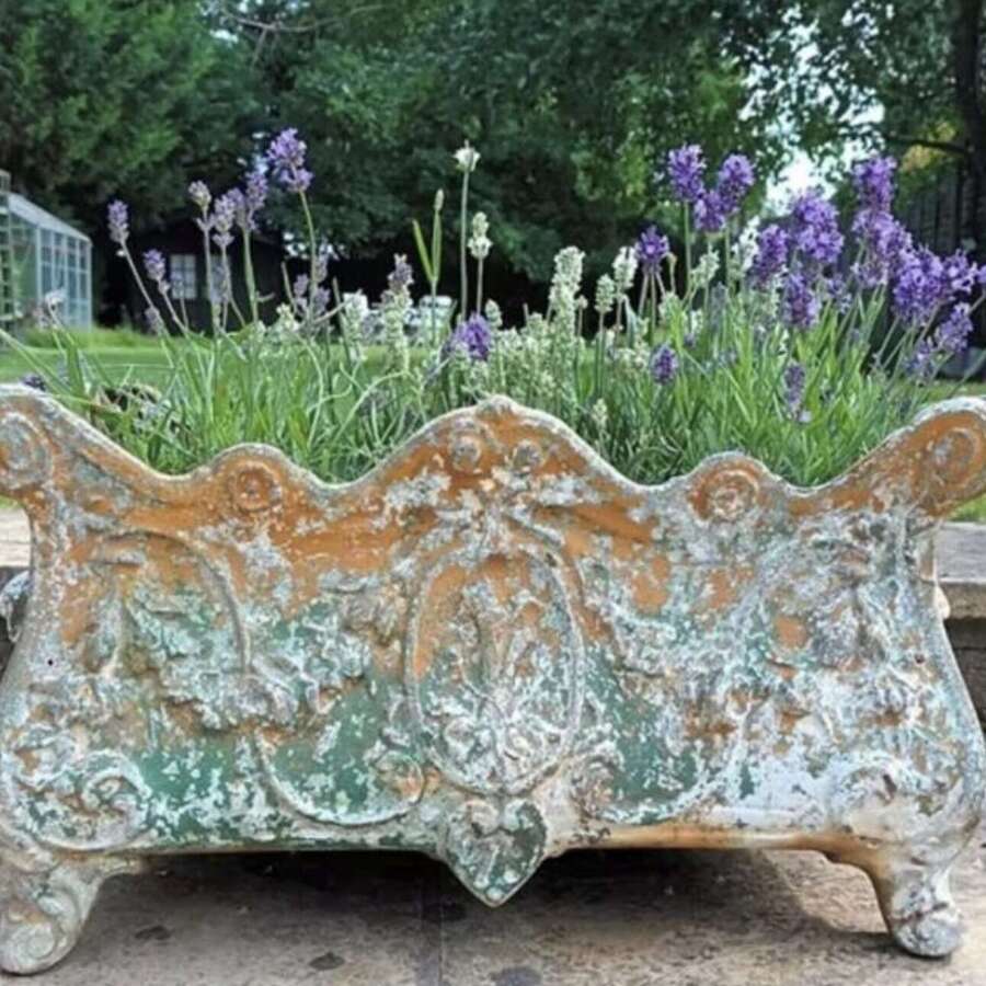 19th Century French Cast Iron Planter