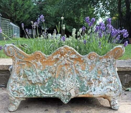 19th Century French Cast Iron Planter