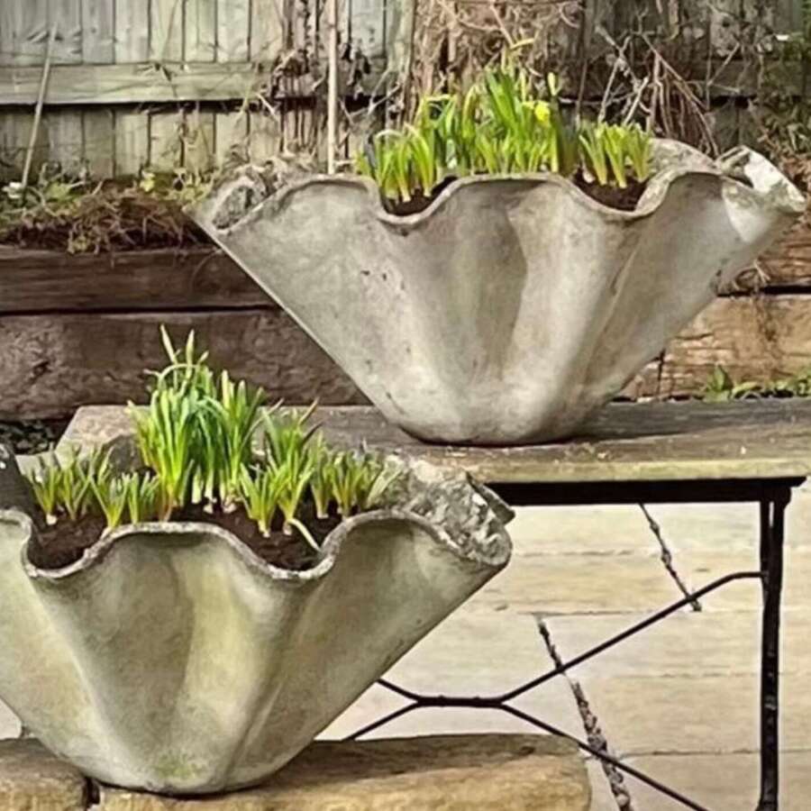 Sculptural 'Organic' Planters by Willy Guhl (1950s)