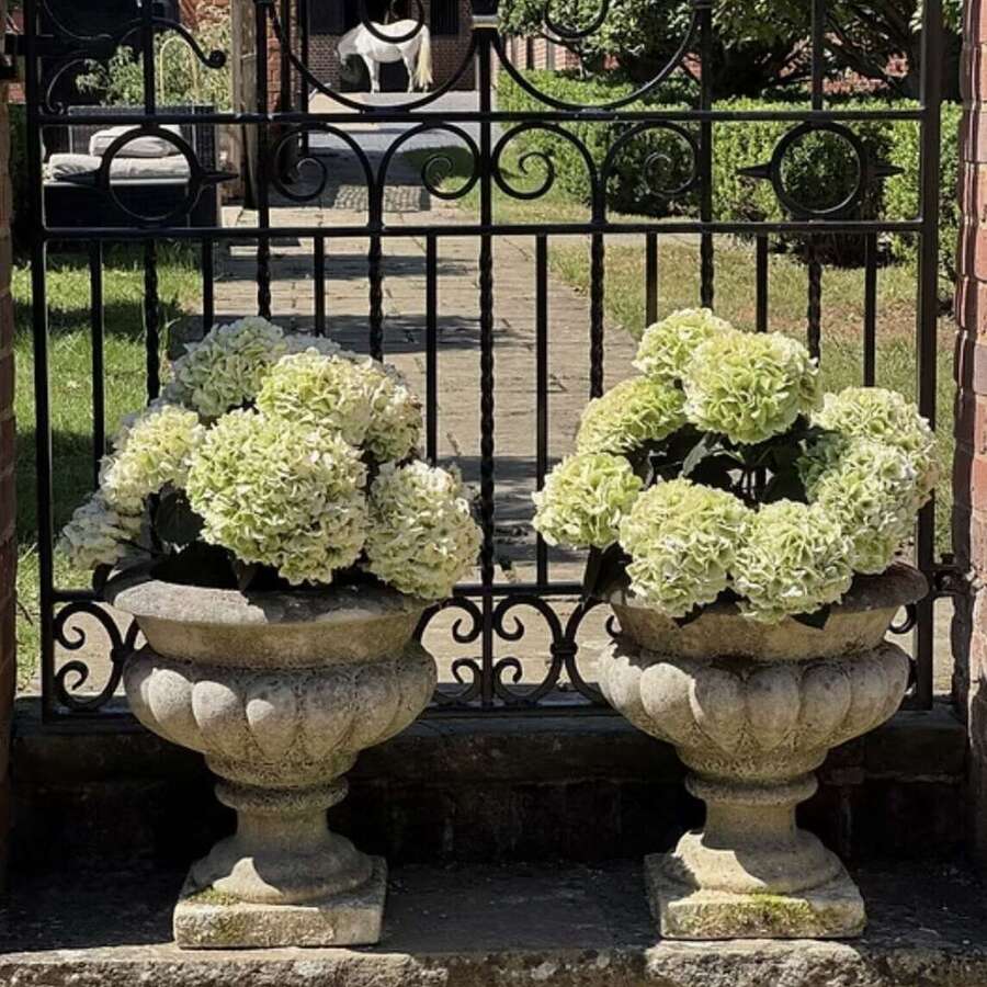 A Pair of Mid 20th Century English Planters